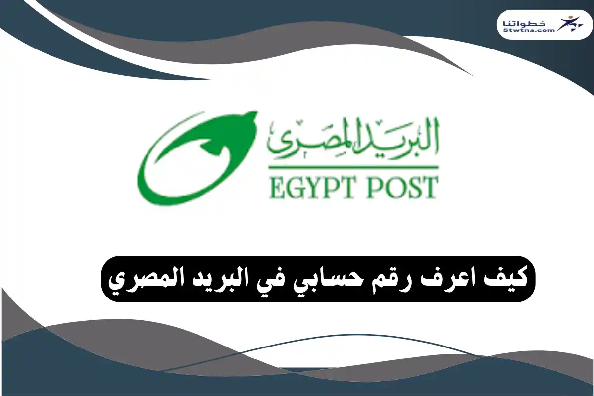 كيف اعرف رقم حسابي في البريد المصري